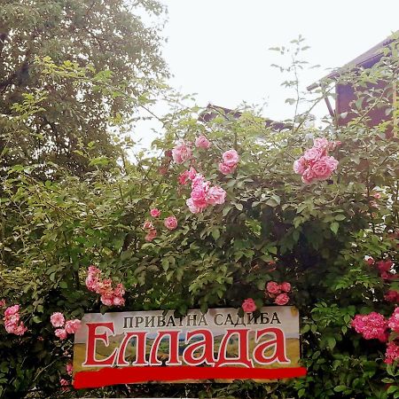 Sadyba Ellada Yaremche Exterior foto