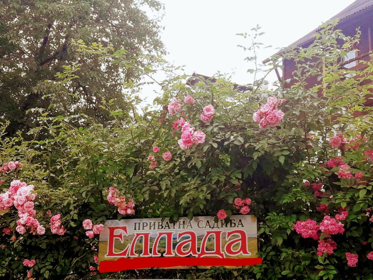 Sadyba Ellada Yaremche Exterior foto